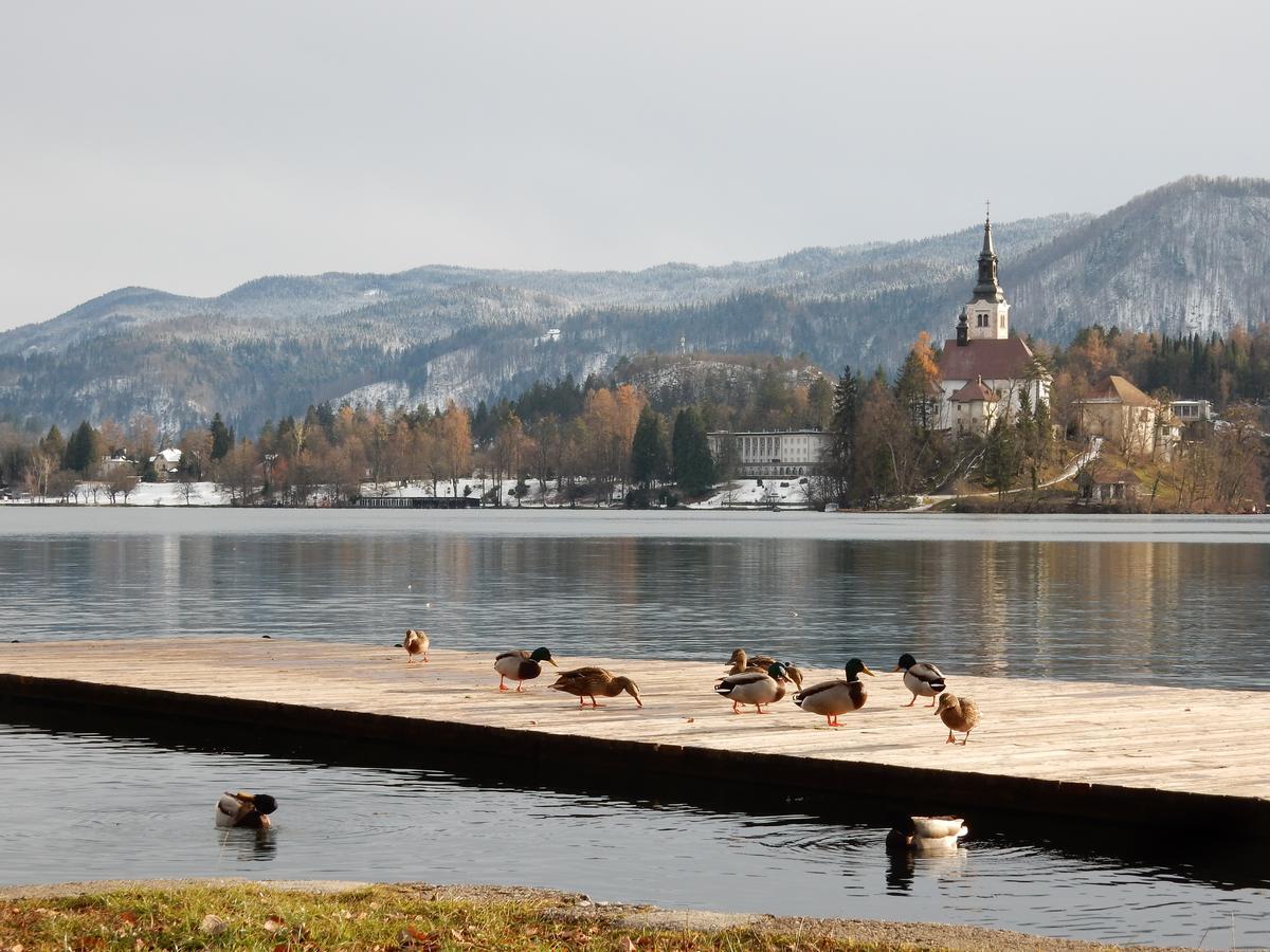 Lake House Sebanc Bled Eksteriør billede